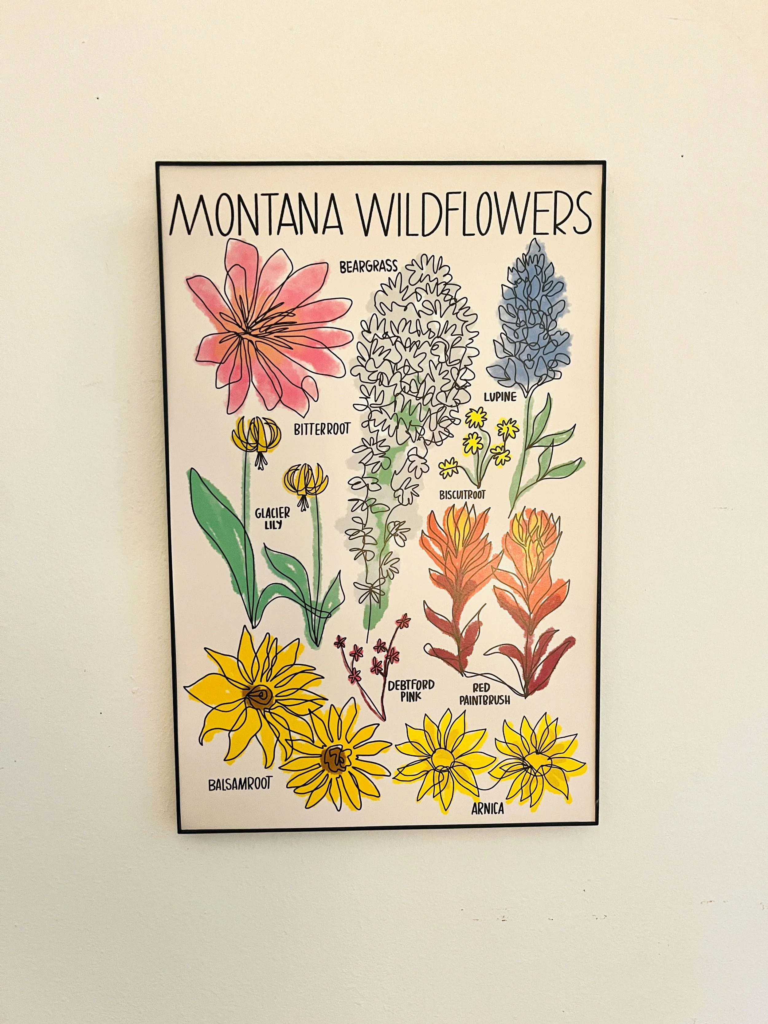 Montana Wildflowers — Mercedes Tabish Montana Wildflowers — Mercedes Tabish